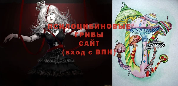 а пвп мука Алзамай